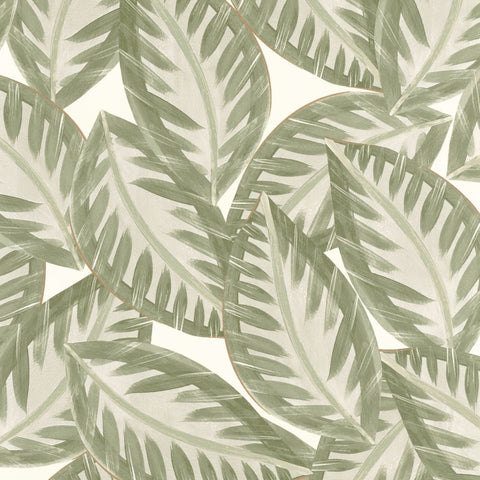 Papel Pintado GREEN & CO GCO103900721 -PAPELHOGAR