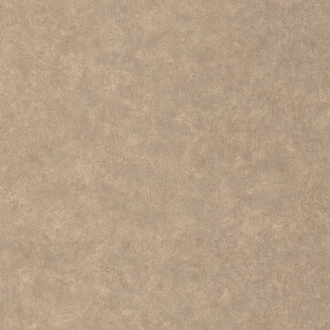 Papel Pintado CERAMIQUE CER105252120 -PAPELHOGAR