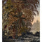 Panoramico Papel Pintado BEAUTY FULL IMAGE 2 BFM102442074 -PAPELHOGAR