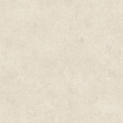 Papel Pintado SO COLOR 4 SCOL29581218 -PAPELHOGAR