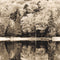 Panoramico Papel Pintado BEAUTY FULL IMAGE 2 CAD BFMA87109514 -PAPELHOGAR