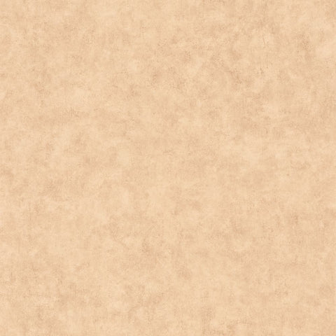 Papel Pintado BETON 2 BTO101482446 -PAPELHOGAR