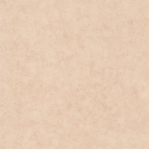 Papel Pintado BETON 2 BTO101482551 -PAPELHOGAR