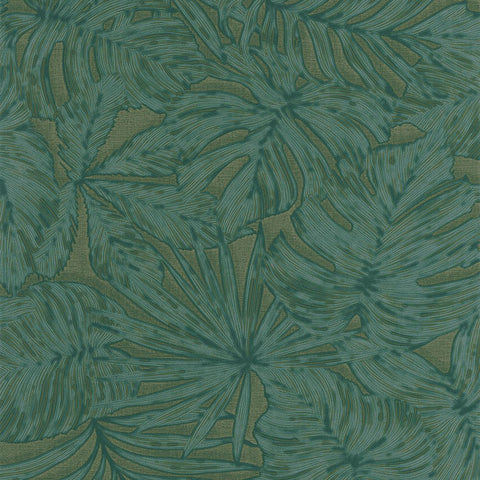 Papel Pintado NICARAGUA NICA86437474 -PAPELHOGAR