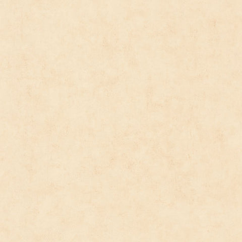 Papel Pintado BETON 2 BTO101481247 -PAPELHOGAR
