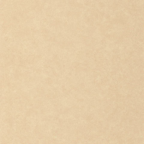 Papel Pintado CERAMIQUE CER105241223 -PAPELHOGAR