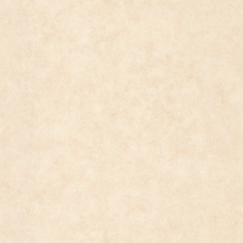 Papel Pintado BETON 2 BTO101491460 -PAPELHOGAR