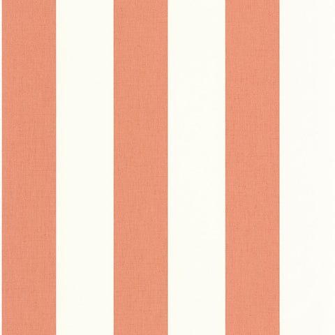 Papel Pintado BASICS BAI104044024 -PAPELHOGAR