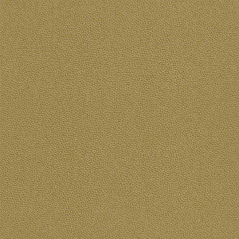 Papel Pintado BEAUTY FULL COLOR BFCO82282207 -PAPELHOGAR