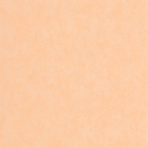 Papel Pintado ECHAPPEE BELLE ECHA89853232 -PAPELHOGAR