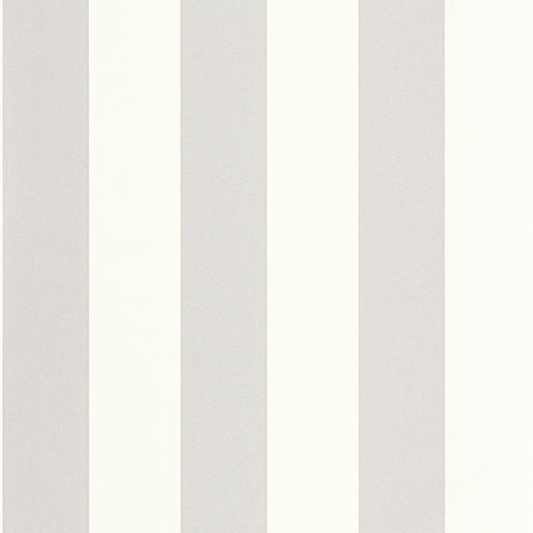 Papel Pintado BASICS BAI104029001 -PAPELHOGAR