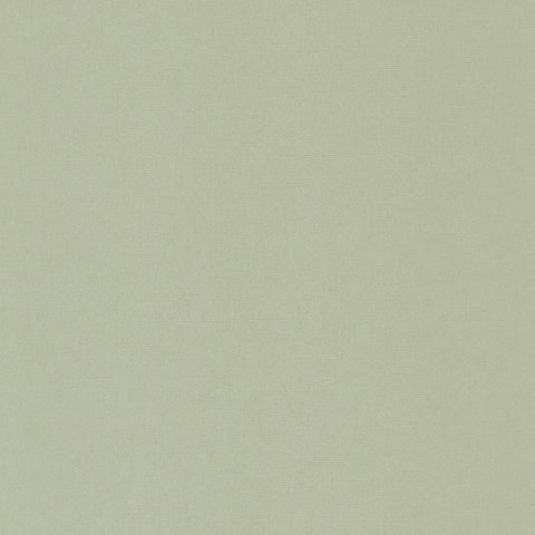 Papel Pintado BOTANICA BOTA82077159 -PAPELHOGAR