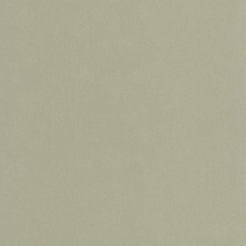 Papel Pintado BASICS BAI64527210 -PAPELHOGAR