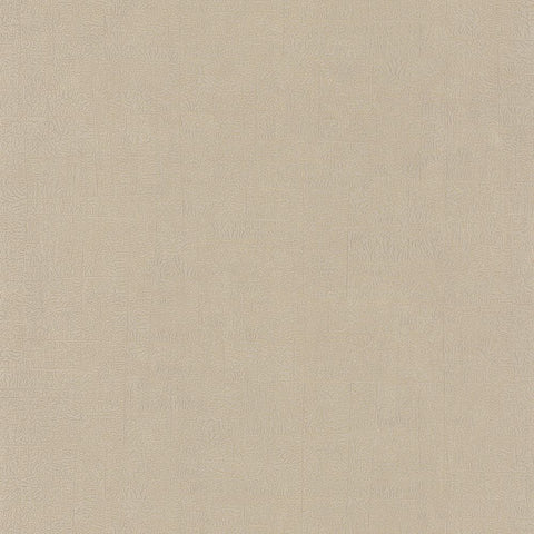 Papel Pintado BEAUTY FULL COLOR BFCO82531210 -PAPELHOGAR