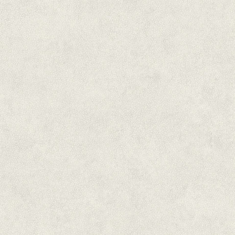 Papel Pintado SO COLOR 4 SCOL29580503 -PAPELHOGAR