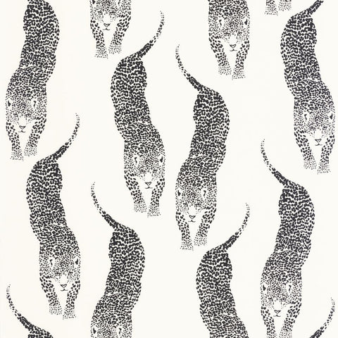 Papel Pintado WILD CAL WILD104920995 -PAPELHOGAR