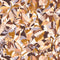Papel pintado L'ÎLE AUX OISEAUX 75880814 -PAPELHOGAR