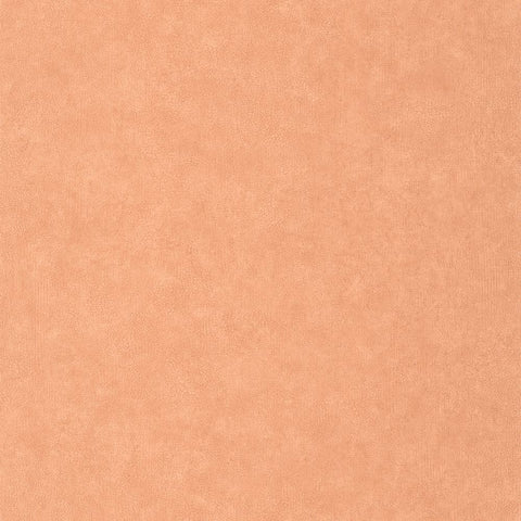 Papel Pintado CERAMIQUE CER105243030 -PAPELHOGAR