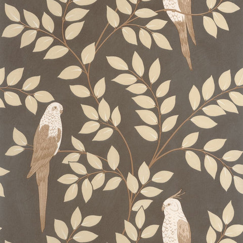 Papel Pintado BORNEO CAL BORN106529023 -PAPELHOGAR