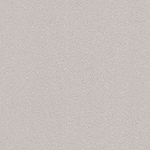 Papel Pintado BEAUTY FULL COLOR BFCO82281106 -PAPELHOGAR