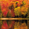 Panoramico Papel Pintado BEAUTY FULL IMAGE 2 CAD BFMA87103813 -PAPELHOGAR