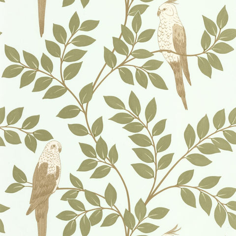 Papel Pintado BORNEO CAL BORN106527162 -PAPELHOGAR
