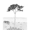 Panoramico Papel Pintado WONDERWALLS 2 WDWD200029105 -PAPELHOGAR